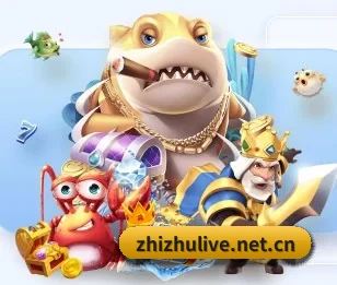 本站五个常用功能入口,赛程查询路径更短